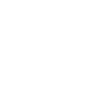 PPS-Logo-white PPS-Logo-white
